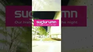 【SUGIURUMN】アルバム『Our history is made in the night』配信解禁！#clubmusic #housemusic