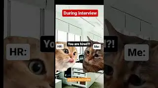 You are Hired 😁😜😜😁 