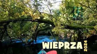 kajaki Wieprza'24