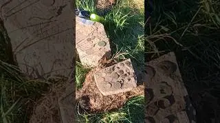 Всё это нашли на месте где стоял дом #metaldetecting #монеты #коп #кладоискатель #garrett #клад #md