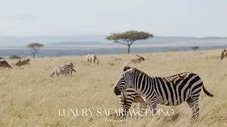 Luxury Safari Wedding Experience:  A Wild Celebration at andBeyond Kichwa Tembo | Masai Mara, Kenya