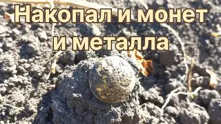 Хороший выход. Поехал за монетами,по пути заработал.