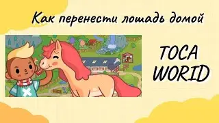 Тока бока как принести лошадь домой