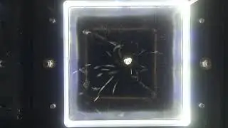 Active pechblende in a cloud chamber (Top view) Chambre a brouillard
