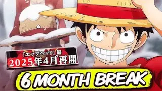THE ACTUAL REASON ONE PIECE on BREAK!!!