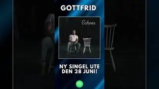 🎸 Ny Singel: "Echoes" av Gottfrid - Finns ute nu! 🎵