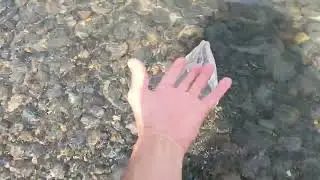 7.07.2024 Анапа. Большой Утриш. Хороший пляж, чистая вода.Нашествие Медузы.