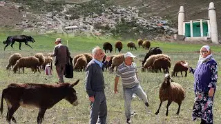 A Village With An Age Of More Than 5000 Years In Iran 😱 | Challenging Conditions Of Iran