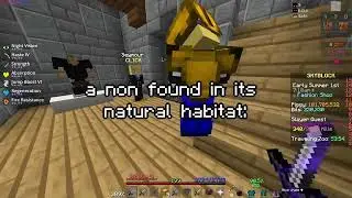 The Average Hypixel Skyblock NON Be Like..