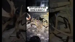 3 monster coues bucks from Mexico 🇲🇽 #hunting #deer #mexico #shorts