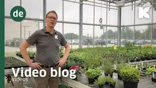 TerrAktiv PLUS: Was ist das und wie sieht es in der Kultur aus?