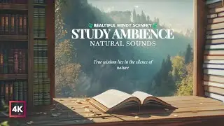 【ESCAPE to a COZY 4K Mountain Library with Scenic Views!】