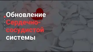 Практика 
