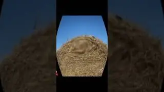 Батёк 10 #shorts