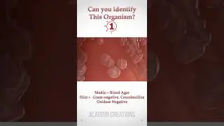 Can you guess these Colonies ? 🤔🧐🤓 #quiz 338  #shorts