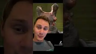 Why Do Humans Yawn??