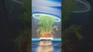 A green tree in an epic sci-fi space environment with cinematic scene. 3D rendering in Blender 3