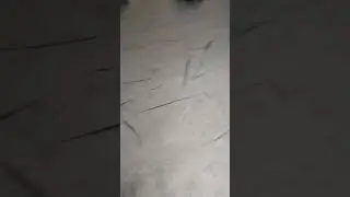 буду перезаливать, пока не наберётся 300 лайков #memes #funny #tiktokvideo #music #tiktokfunny #meme