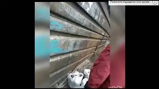 Бабка роется в мусорке,но голосовала за Путина.