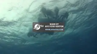 Sample AVS Video Editor Video