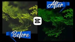 Cinematic Color Grading In Capcut Tutorial
