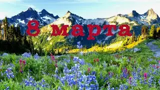 8 марта #2