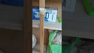 15 июня 2024 г.