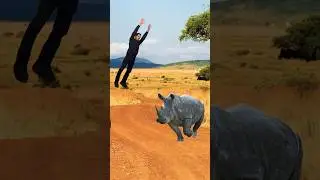 🤔 HOW TO SURVIVE A RHINOCEROS ATTACK 🦏