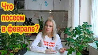 Садовые работы февраля