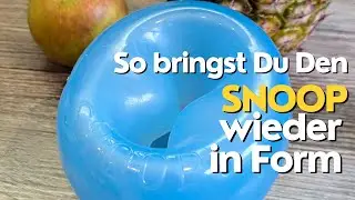 Den Snoop wieder in Form bringen