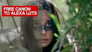Adapting Arri's New Alexa LUTs to Canon Cinema CLog