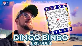 Dingo Bingo : EP 1 - No May Tenth