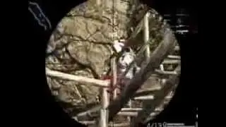 Warface Легко