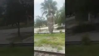 Brightline train from Aventura to Boca Raton