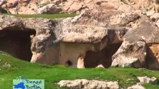 Dengê Botan-Finika Botan