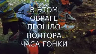 ДУХОВОЙ ЛЕС 2023 // СИНИЙ ГАРАЖ