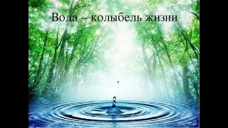 Колыбель жизни (П)
