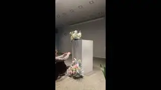 Тест