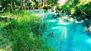 Белый шум воды в лесу - Белый шум для расслабления сна учебы