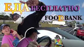 БЕСПЛАТНАЯ ЕДА в США во время эпидемии. FOOD BANK