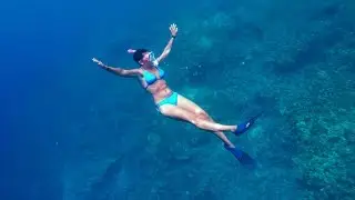 Snorkeling and San Francisco Bay Coffee Big Island Hawaii VLOG 7