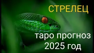 Стрелец Таро Прогноз на 2025 год Змеи!!!