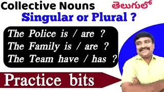 Collective nouns -Singular  or Plural ? Practice bits on Collective Nouns