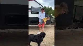 Путешествие с семьей в доме на колесах  #домнаколесах #vanlife #travel #shortvideo #camping #rvlife
