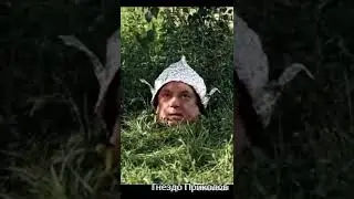 Заземлился 😂 