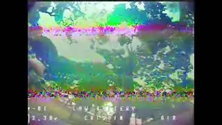 Betafpv air75 proximitree freestyle