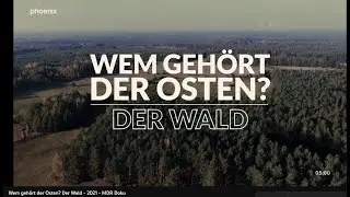 Wem gehört der Osten?  Der Wald  - 2021 - MDR Doku - Naturerbe, Sehnsuchtsort, Spekulationsobjekt