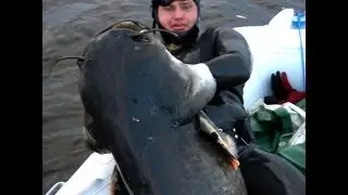 Сомятники \ Подводная охота Александр Кочубей