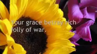 Song of the Sunflower