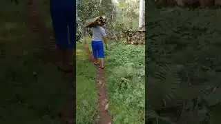 PERJALANAN MENGAMBIL BAMBU DI KEBUN, TONJO, SELAYAR
